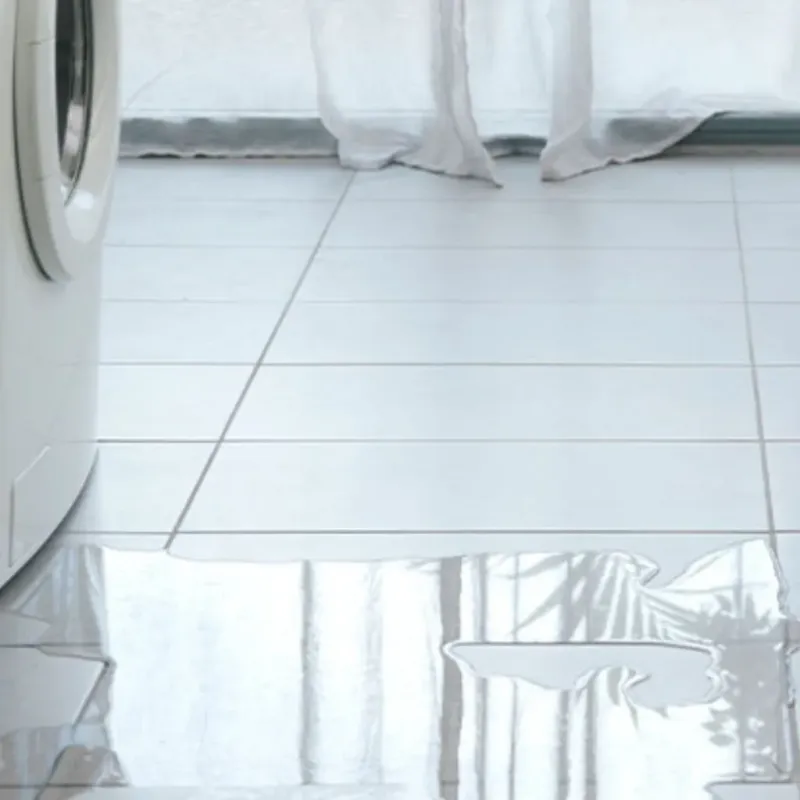Appliance Leak Cleanup in Paradise Valley, AZ